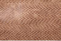  photo texture of leather